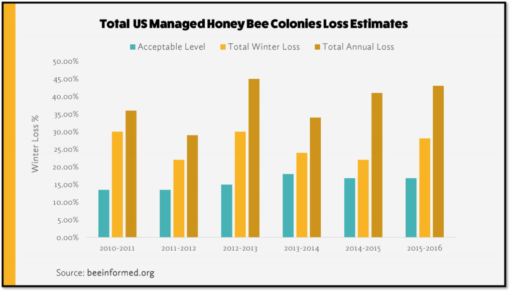bee presentation design slide
