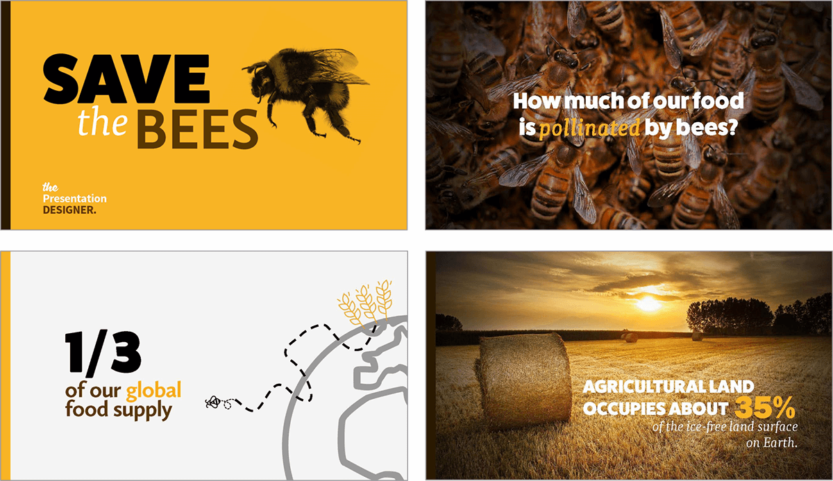 bee presentation design slides