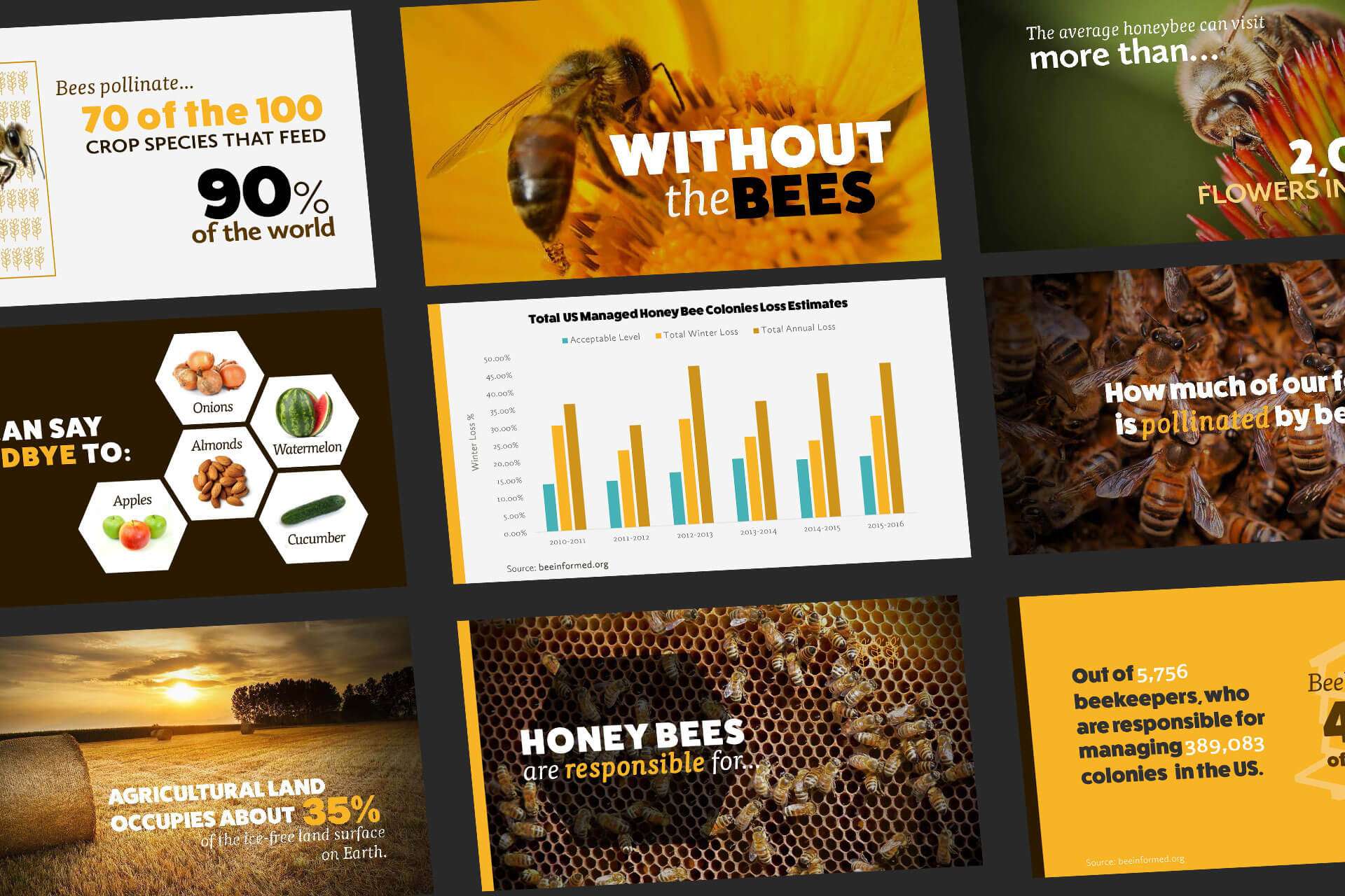 bees presentation slide case study