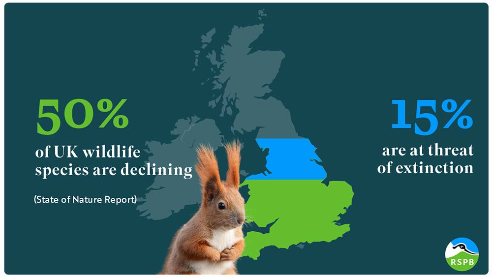 A picture of an infographic presentation slide showing the decline in UK wildlife according to the UK State of Nature Report