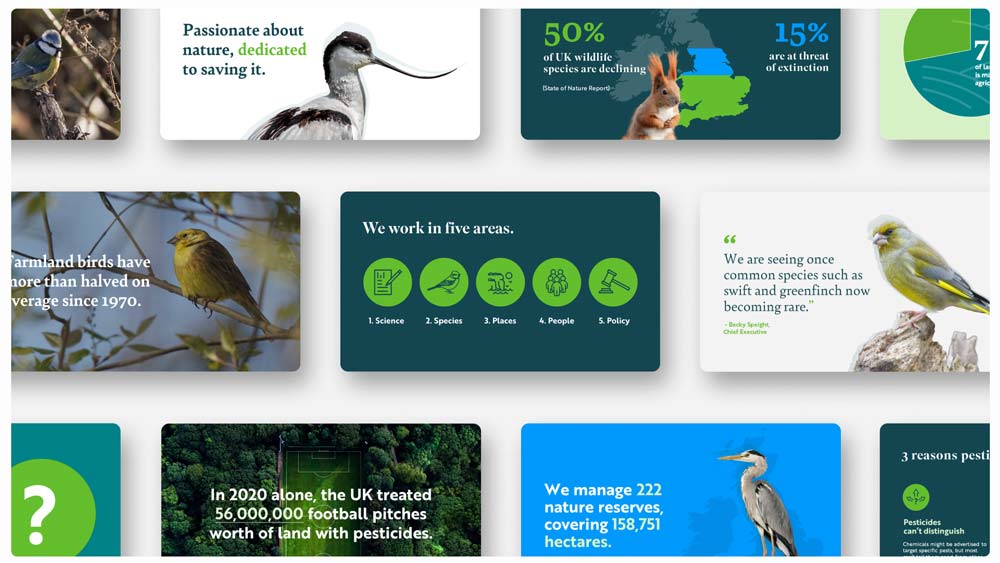 presentation design makeover birdlife trust